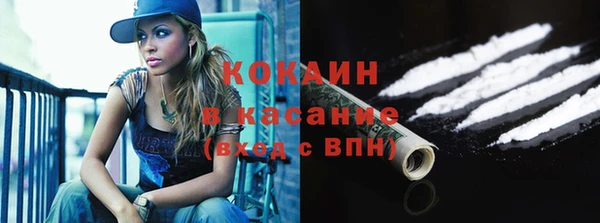 индика Аркадак