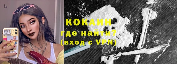 индика Аркадак