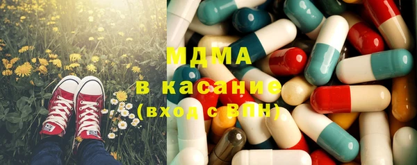 индика Аркадак