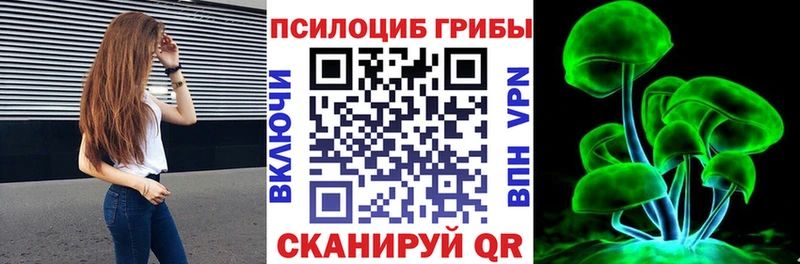 Псилоцибиновые грибы мицелий Данков
